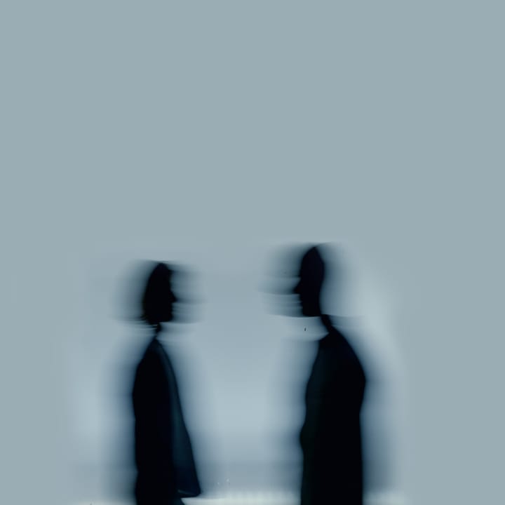 Cover art: two dark blurred silhouettes on a pale ground